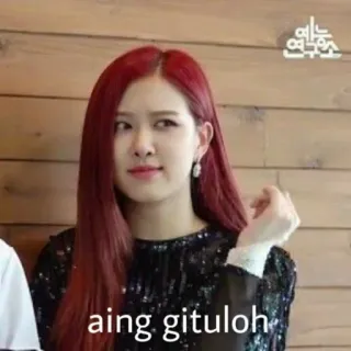 🐰 aing gituloh Мем, Выражение, Роза, K-Pop telegram sticker