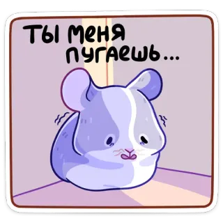 🤔 Ты меня пугаешь... chinchila, fofo, assustado, desenho animado, animal whatsapp sticker