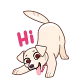 👋 Hi cão, saudação, amigável, fofo, brincalhão whatsapp sticker