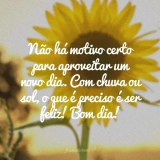 🌻 Não há motivo certo
para aproveitar um
novo dia. Com chuva ou
sol, o que é preciso é ser
feliz! Bom dia! Sonnenblume, inspirierende Botschaft, positive Botschaft, Guten Morgen, Blume, motivierend whatsapp sticker