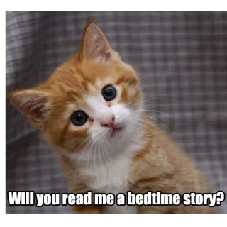 📚 Will you read me a bedtime story? gato, gatito, cuento para dormir, animal, lindo, mascota, lectura telegram sticker