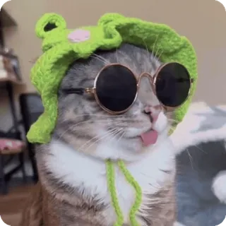 🐸 telegram sticker