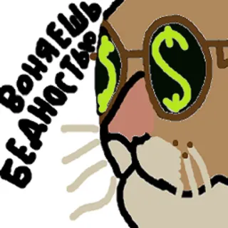 🤑 ВОНЯЕШЬ БЕДНОСТЬЮ kucing, kacamata, uang, simbol dolar, kartun, stiker telegram sticker