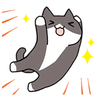 🙌 chat, dessin animé, animal, mignon, chaton, joueur whatsapp sticker