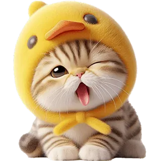 Мяу-утка @Nyasticks telegram stickers