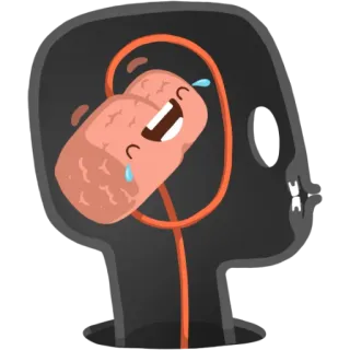 😂 brain, anatomy, laughter, cartoon, nervous system, funny telegram sticker