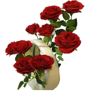🌸 hoa, hoa hồng, đỏ, bó hoa, lãng mạn, Ngày Valentine, quà tặng telegram sticker