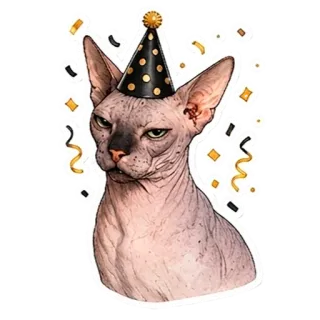 🎉 Sphynx cat telegram sticker