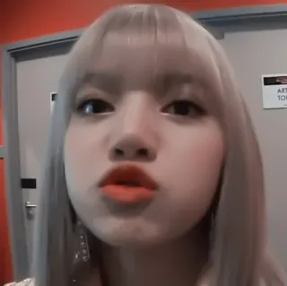 🍓 Lisa kpop, chanteuse, femme, lisa, célébrité, selfie telegram sticker