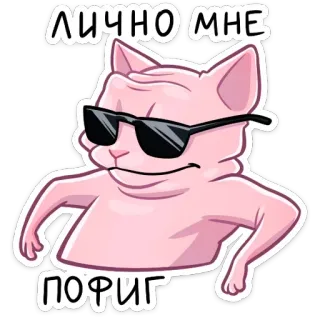😎 ЛИЧНО МНЕ ПОРИГ Katze, Sonnenbrille, Cool, Lustig, Meme telegram sticker