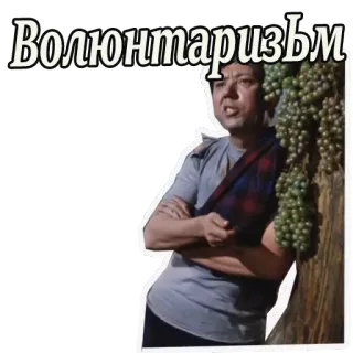 😯 Волюнтаризм russo, uomo, testo, adesivo telegram sticker
