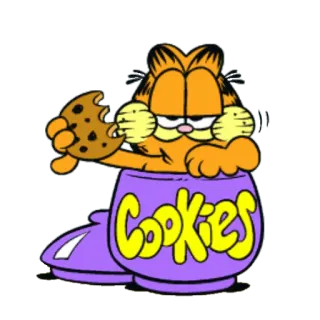 🍪 Garfield COOKIES cat, cookie jar, cartoon, cookies, orange whatsapp sticker