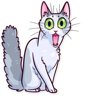 Meme Cats whatsapp stickers