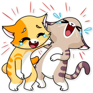 😂 chat, chats, chaton, chatons, mignon, animaux, drôle, rire telegram sticker