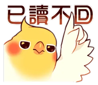 ☝️ 已讀不D Calopsita, pássaro, adesivo, desenho animado, fofo, engraçado, animal telegram sticker