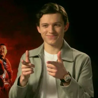 🕸 Tom Holland ator, pessoa, celebridade, Homem-Aranha whatsapp sticker