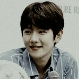 🕊 Baekhyun kpop, singer, exo, idol, korean, musician telegram sticker