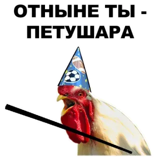 💀 ОТНЫНЕ ТЫ - ПЕТУШАРА beleidigend, Huhn, Beleidigung, Partyhut telegram sticker
