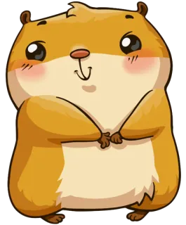 😊 仓鼠, 动物, 可爱, 卡通, 啮齿动物, 贴纸, 快乐 whatsapp sticker