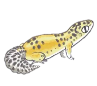 👀 Gecko, Leopardgecko, Tier, Reptil, Haustier, Gelb, schwarze Punkte telegram sticker