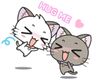 🤗 HUG ME cat, cute, hug, love, cartoon, animal, kawaii whatsapp sticker