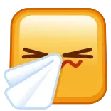 🤧