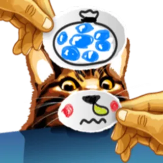 😖 кот, болен, пакет со льдом, мультфильм, милый, смешной whatsapp sticker