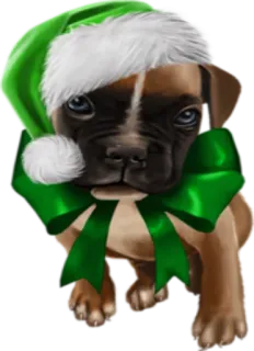 😔 Hund, Welpe, Weihnachten, Schleife, Hut, Tier telegram sticker