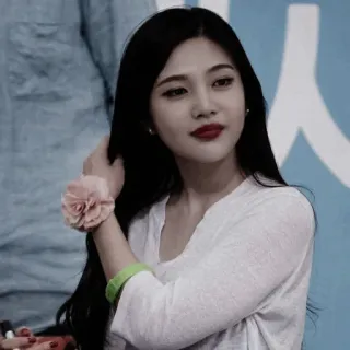 🦋 Frau, K-Pop, Sängerin, Porträt, Promi telegram sticker