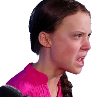 🤬 Greta Thunberg activist, climate change, politics, person telegram sticker