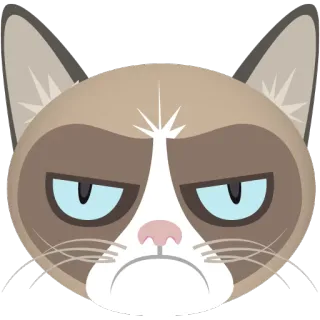 😡 Grumpy Cat grumpy cat, meme, cat, internet, funny, animal telegram sticker
