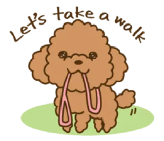 😀 Let's take a walk! cachorro, poodle, passeio, coleira, fofo, desenho animado, animal whatsapp sticker