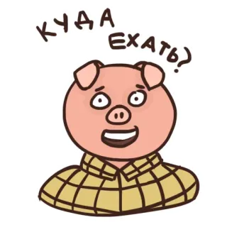 😥 КУДА ЕХАТЬ? babi, rusia, pertanyaan, kartun, stiker whatsapp sticker