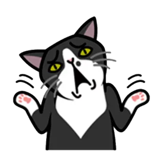 😰 кот, пожимает плечами, вопрос, мультфильм, стикер, животные whatsapp sticker
