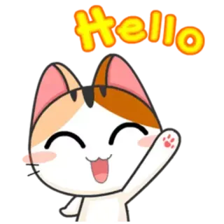✋ Hello 猫, こんにちは, 可愛い, 挨拶, フレンドリー telegram sticker