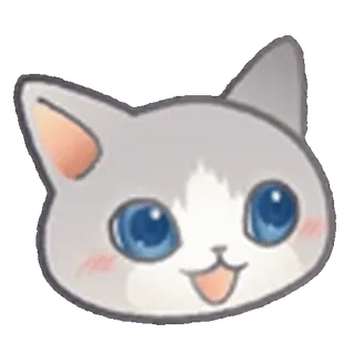 🐱