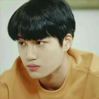 🍂 whatsapp sticker