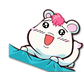 🌙 whatsapp sticker