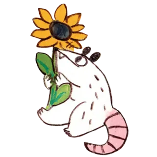 🌻 Opos, Słonecznik, Zwierzę, Natura, Słodkie, Naklejka telegram sticker