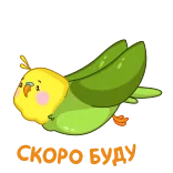 🏃‍♀ Cute Day bird, parakeet, cute, day, green, yellow, sticker telegram sticker