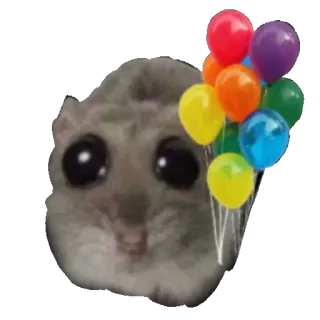🎈 햄스터, 풍선, 무지개, 귀여운, 동물, 축하 whatsapp sticker