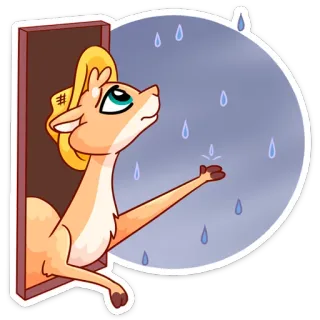 🌧 camelo, chuva, janela, desenho animado, animal, chapéu telegram sticker