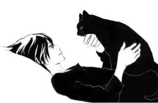♥️ gato, anime, chico, mascota, gato negro telegram sticker