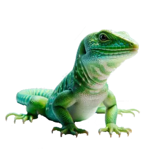 🌍 lizard, green, reptile, animal, nature, wildlife telegram sticker
