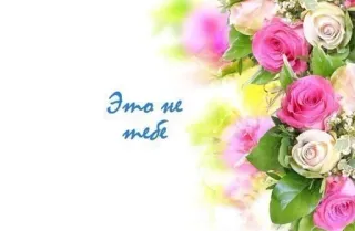 💐 Это не тебе flowers, roses, bouquet, floral, greeting, russian, not for you telegram sticker