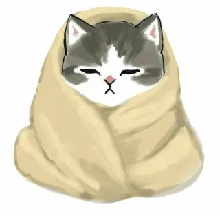 💗 kot, kociak, słodki, koc, przytulny, zwierzę, zwierzak telegram sticker