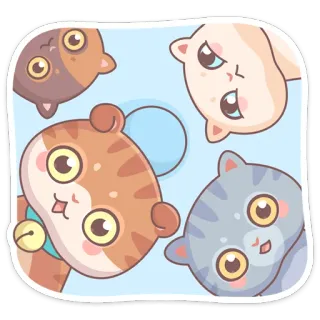 👀 кошки, котенок, милый, очаровательный, мультфильм, животные, питомец telegram sticker