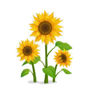 🌻 sunflower, flower, yellow, nature, plant, floral telegram sticker