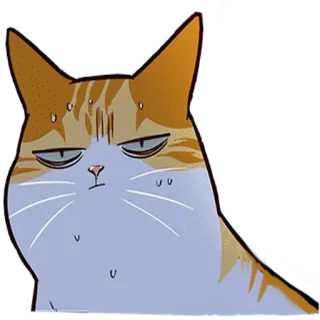 😥 kucing, marah, meme, stiker, imut, kucing oren, tidak senang telegram sticker