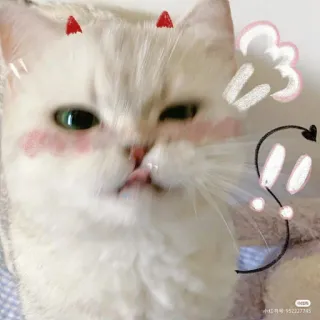 😘 Katze, süß, Aufkleber, Tier, Kätzchen, rote Hörner, digitale Kunst, Cartoon whatsapp sticker